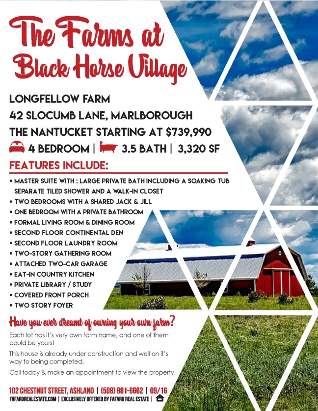 black-horse-village-ad